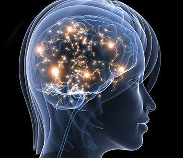 牛得很全脑开发加盟店