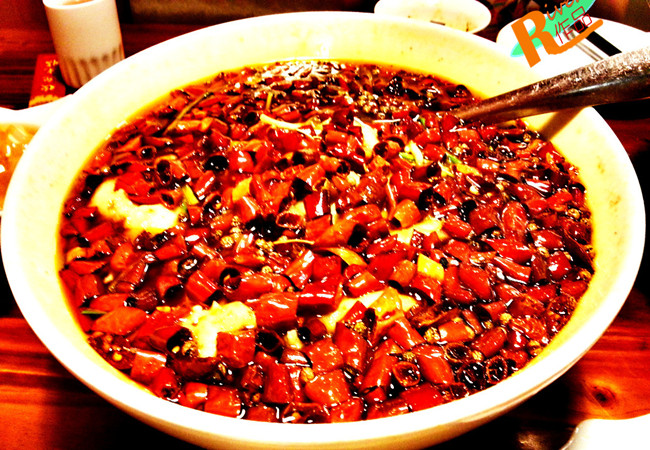 绿泉卜卜贝加盟费