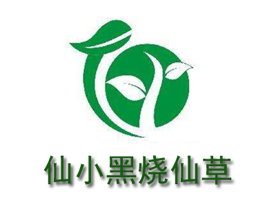 仙小黑烧仙草