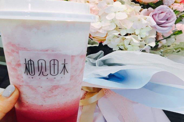 柚见田木加盟费