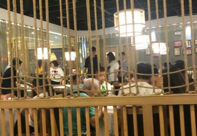 金光鸽王加盟费