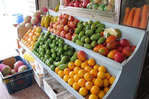 丁丁果儿加盟费