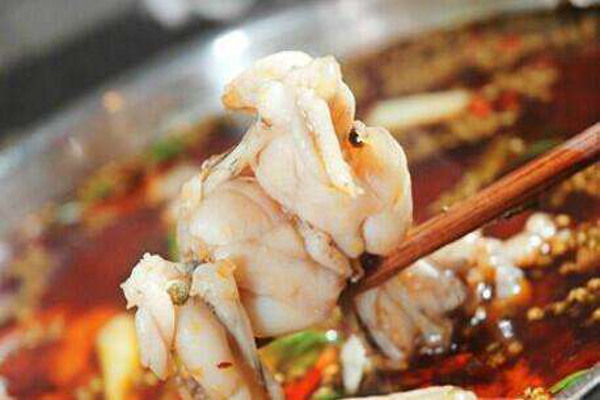 本小蛙美蛙鱼头加盟费