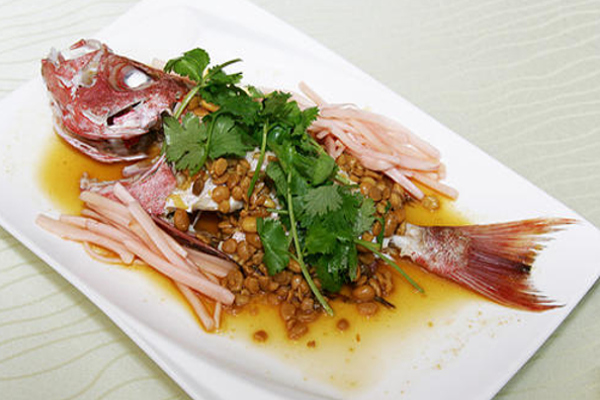 龙叔·老厦门本地菜加盟费