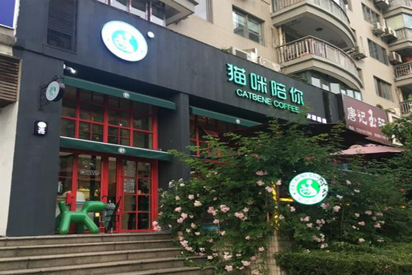 猫咪陪你主题咖啡馆加盟费