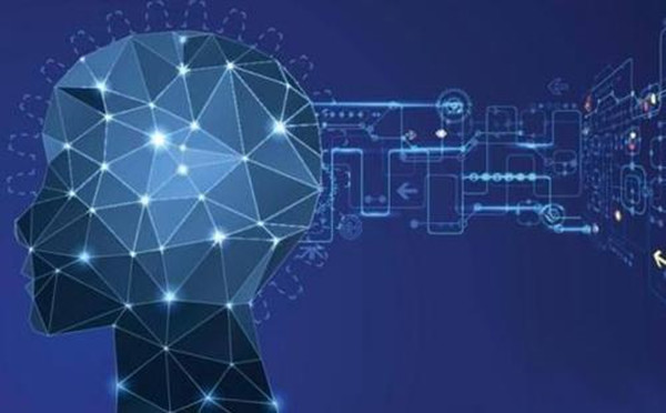 定慧力全脑教育