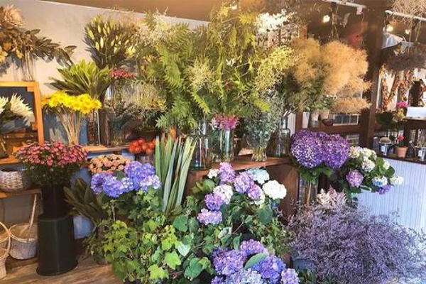 马克花艺加盟费