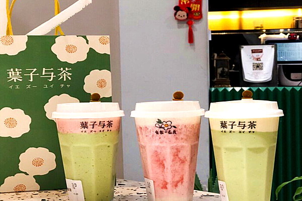 叶子与茶加盟费