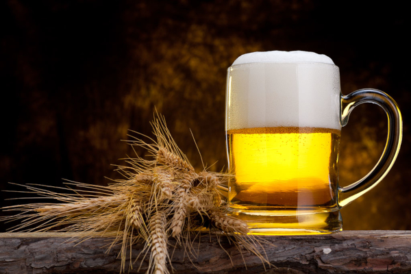 比尔啤酒加盟费