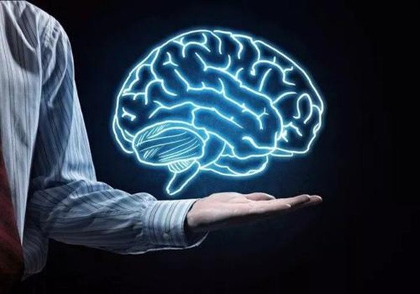 智慧合全脑教育加盟店