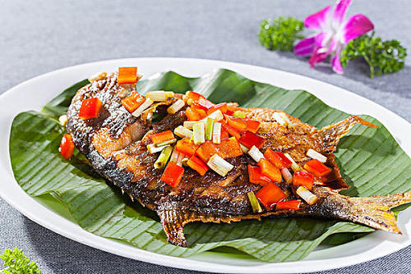 送鱼到家加盟费