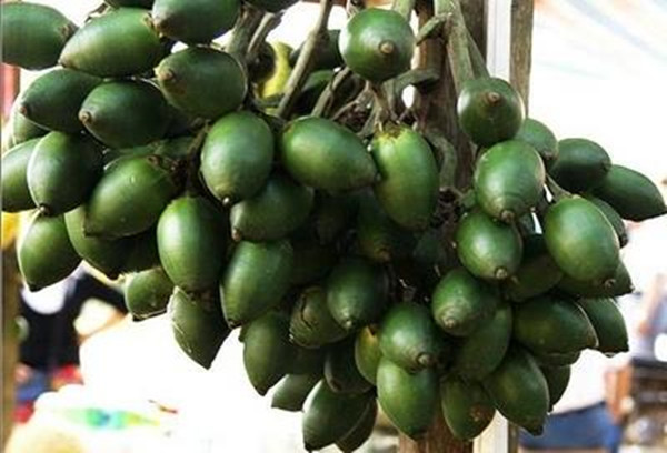 甘智槟榔加盟店