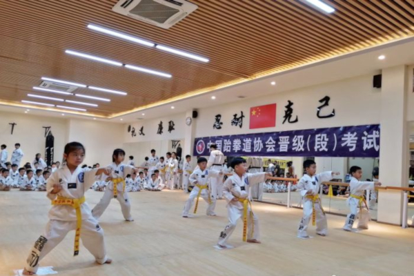 鑫动跆拳道加盟店