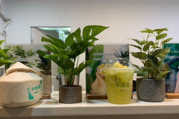 小清莱奶茶加盟费