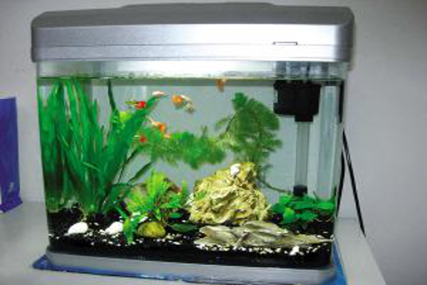 水绘典藏鱼缸加盟费