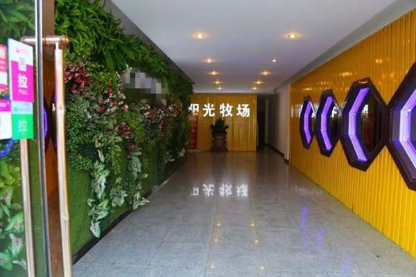 阳光牧场自助餐加盟费