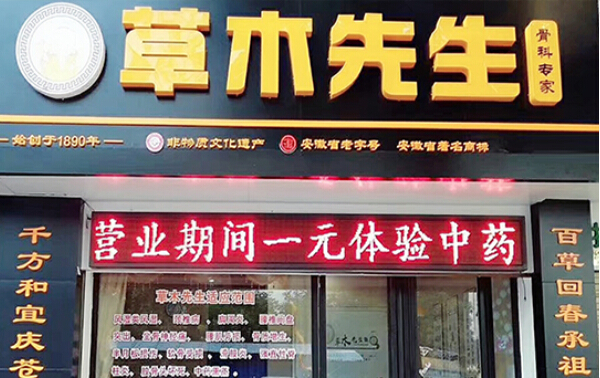草木先生养生