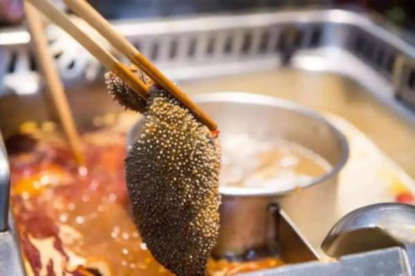 井口毛肚火锅加盟费