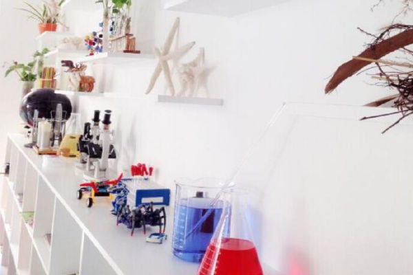 果核科学教育加盟费