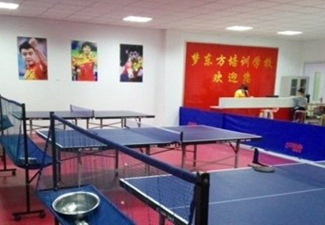 梦东方乒乓球加盟