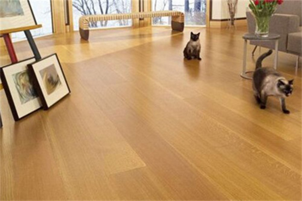 马可多发热瓷砖加盟费