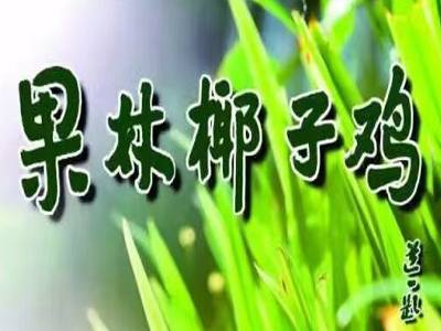 果林椰子鸡加盟费
