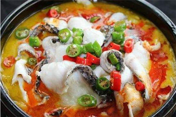 渝来鱼爱你加盟