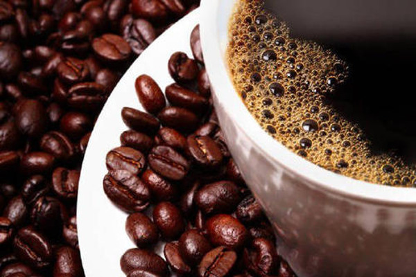 咖啡码头加盟费