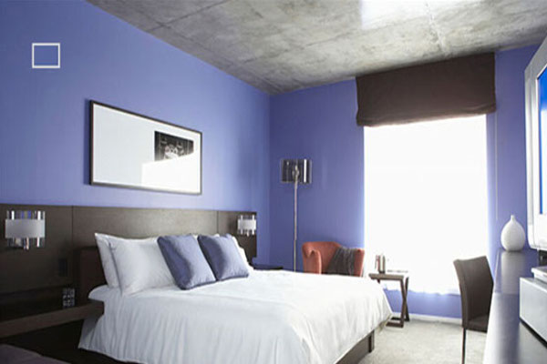 莘佳贝壳粉加盟费