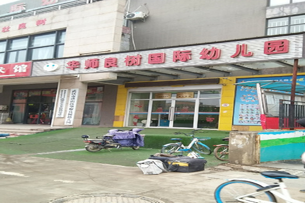 华师良树幼儿园加盟费