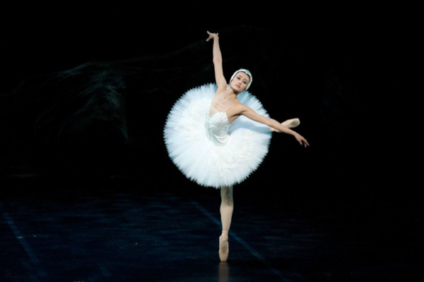 芭蕾世纪加盟费