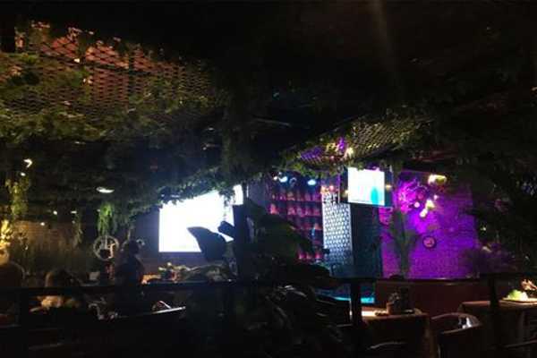 醉青坊音乐餐吧加盟费