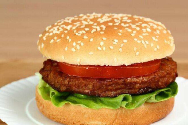 艾吉士汉堡加盟费