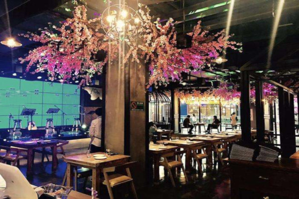 十里桃花音乐餐厅加盟费