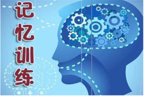 全脑记忆加盟店