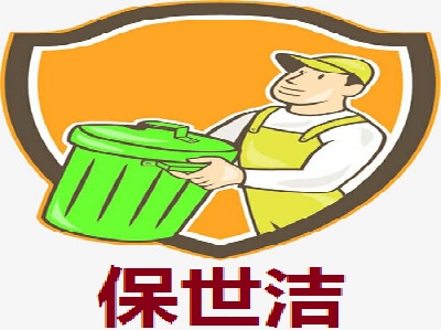 保世洁