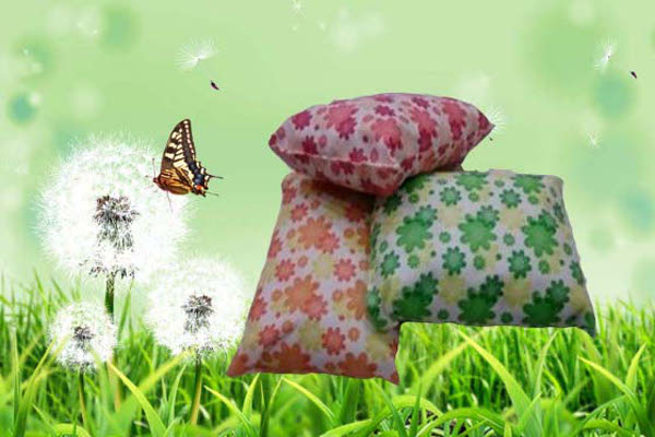 绿美环保加盟费