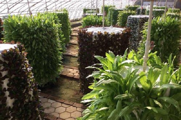 艾维农场加盟费