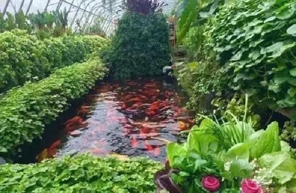 艾维农场加盟费