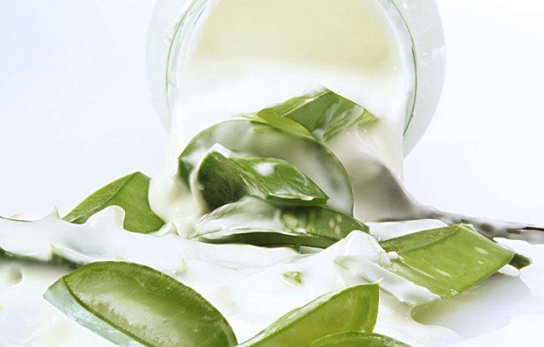 芦荟灌肤加盟费