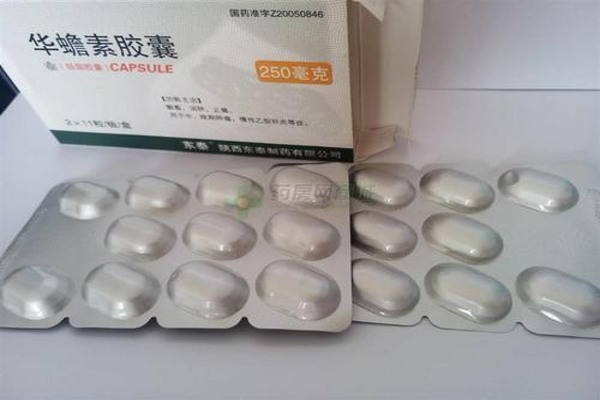 华蟾素胶襄加盟费