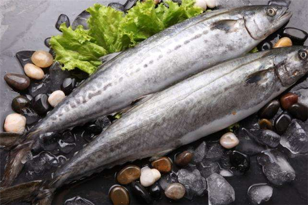 瑞联鲅鱼加盟费