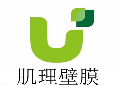肌理壁膜