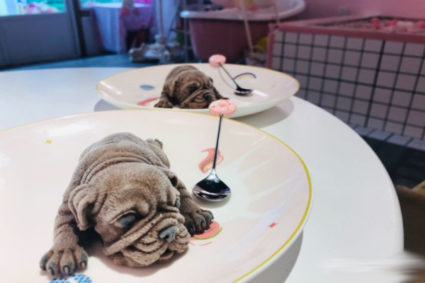 醇甜S.A.S甜品蛋糕加盟费