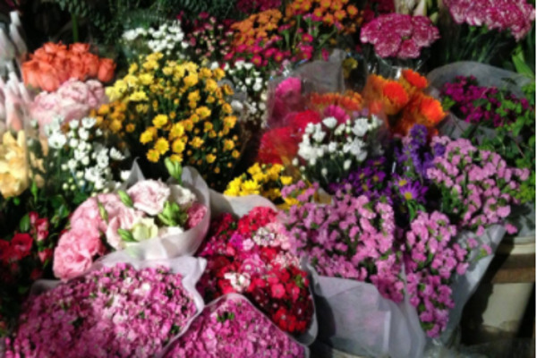 鲜花连锁店加盟费