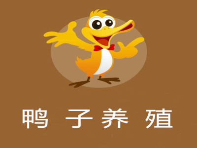 鸭子养殖加盟费