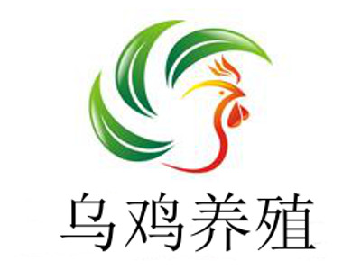 乌鸡养殖