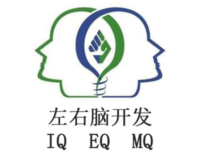 左右脑开发