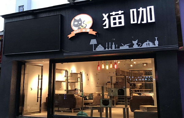 猫咖加盟