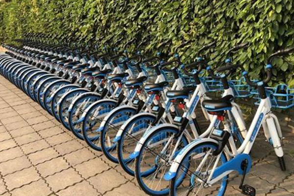 哈罗单车加盟费